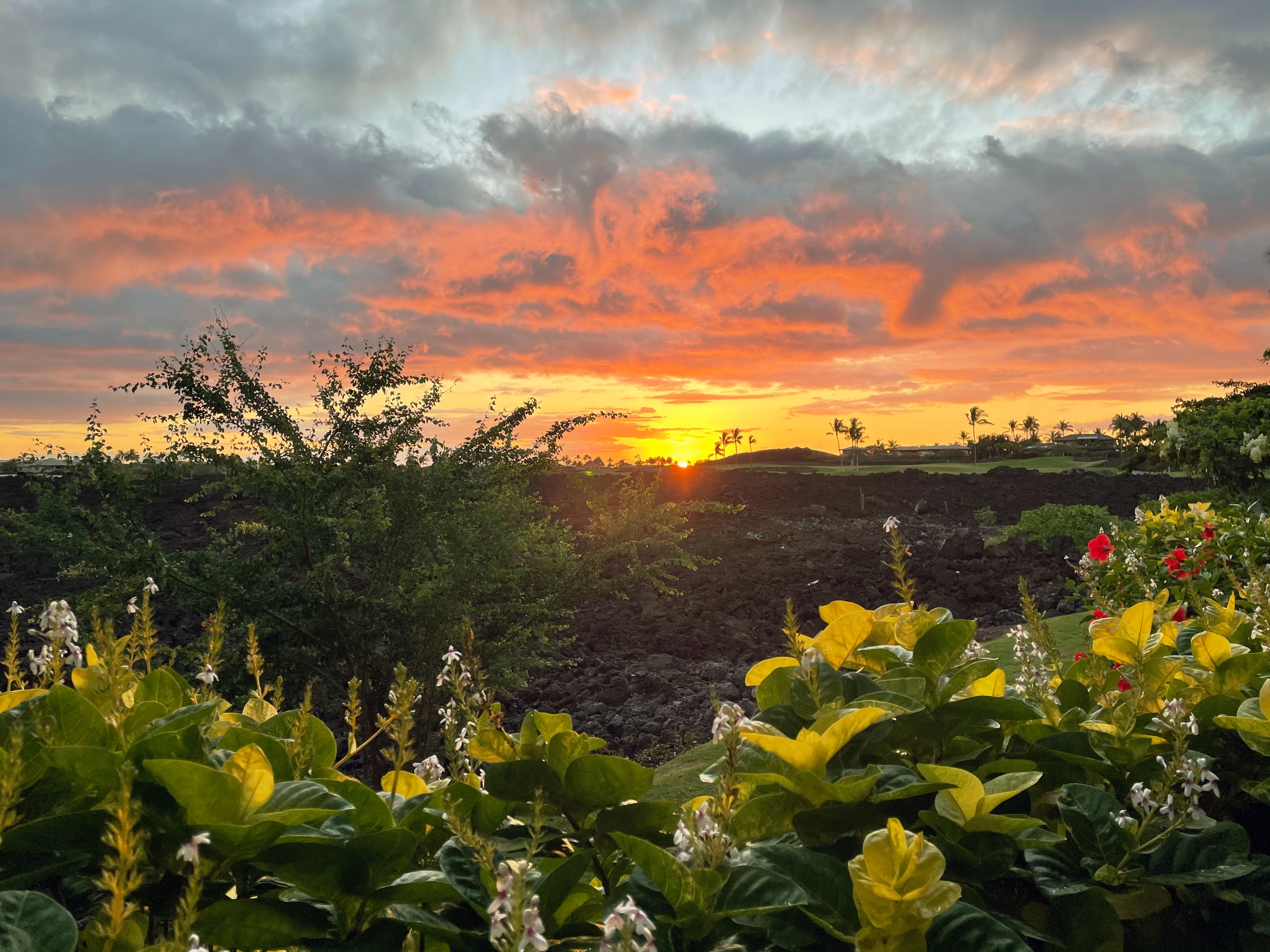 property-view from lanai